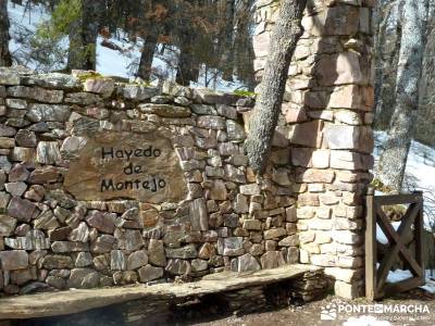 Hayedo Montejo; Reserva Biosfera Sierra Rincón; excursiones de senderismo; viajes senderismo madrid